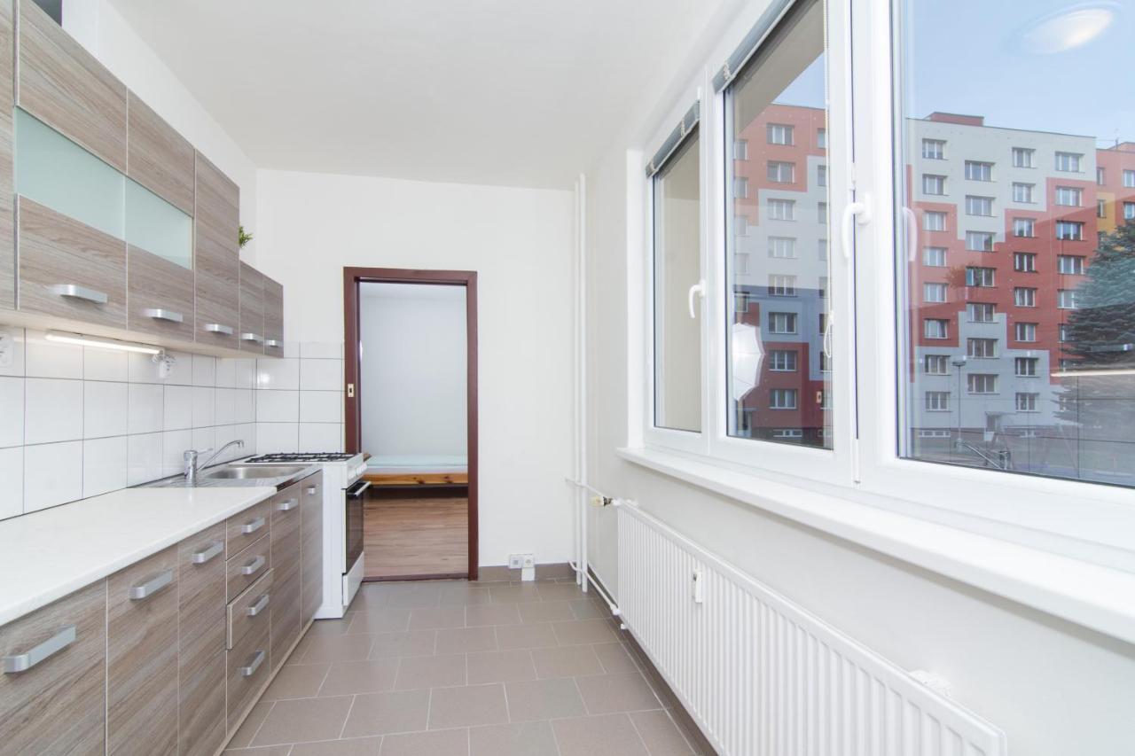 Apartman Slezska Frýdek-Místek エクステリア 写真