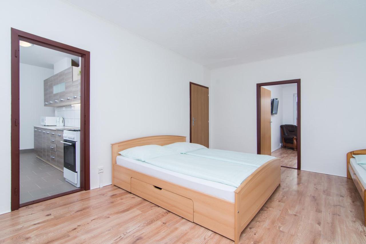 Apartman Slezska Frýdek-Místek エクステリア 写真