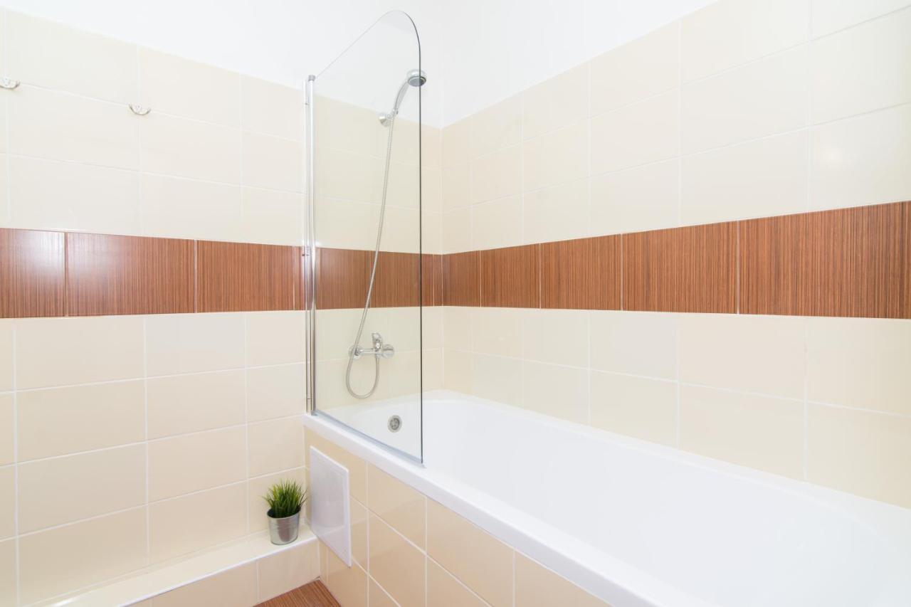 Apartman Slezska Frýdek-Místek エクステリア 写真